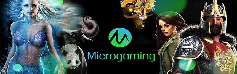 Microgaming Provider Logo